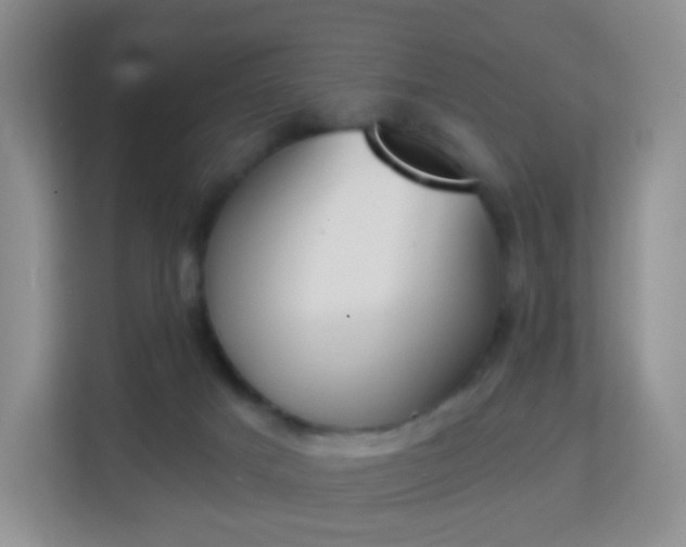 X0000113170025200909111043