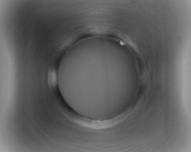 X0000113170027200909111043