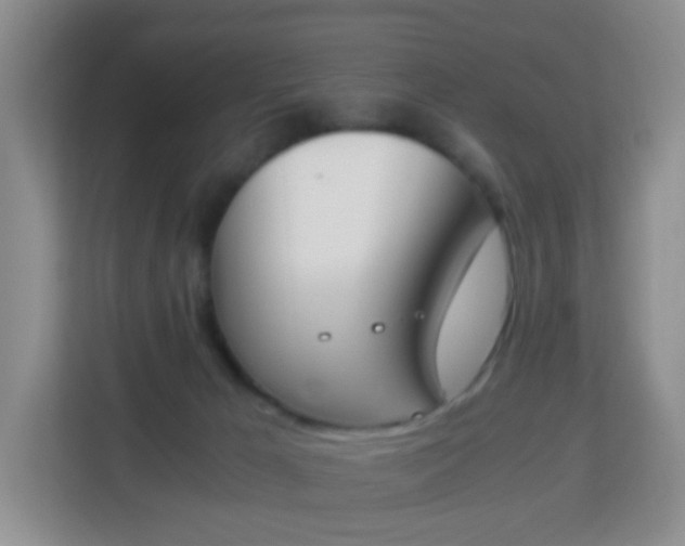 X0000113170029200909111043