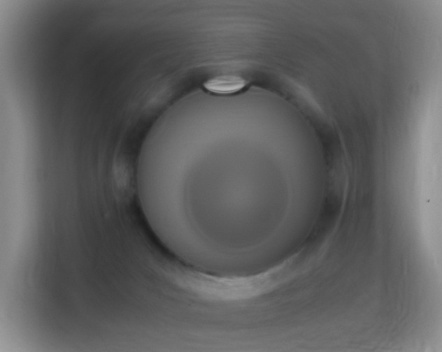 X0000113170031200909111043