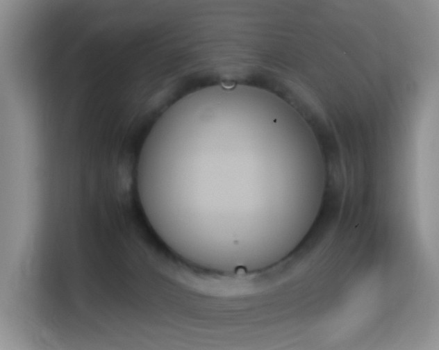 X0000113170032200909111043