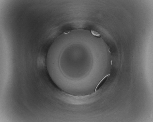 X0000113170035200909111043
