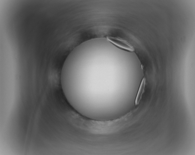X0000113170037200909111043