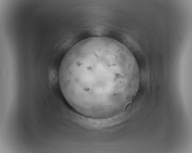 X0000113170043200909111043
