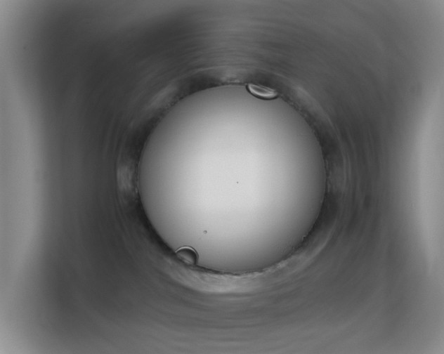 X0000113170044200909111043
