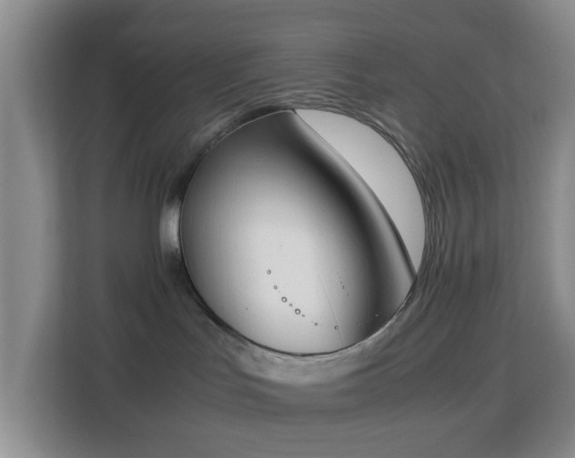 X0000113170047200909111043