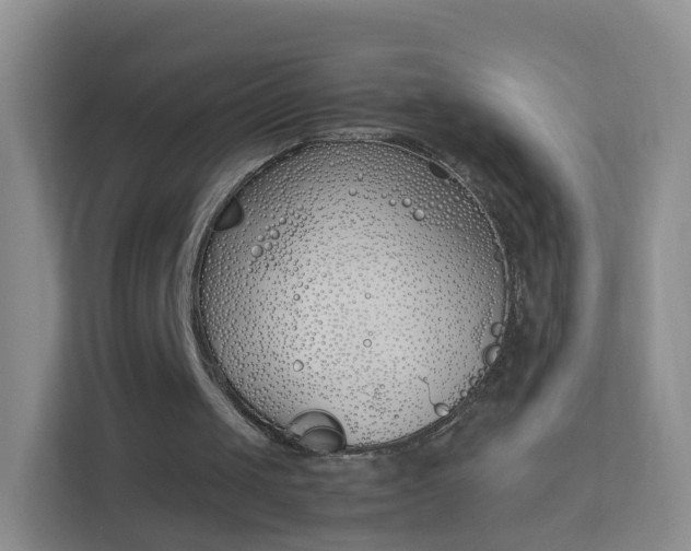 X0000113170049200909111042