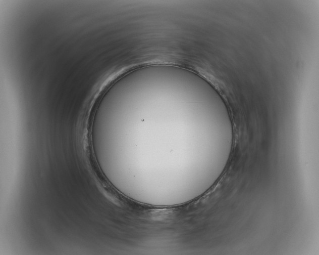 X0000113170050200909111042