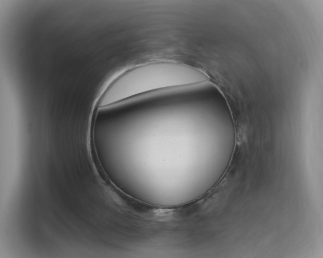 X0000113170052200909111042