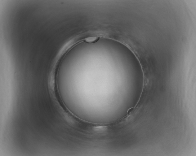 X0000113170053200909111042