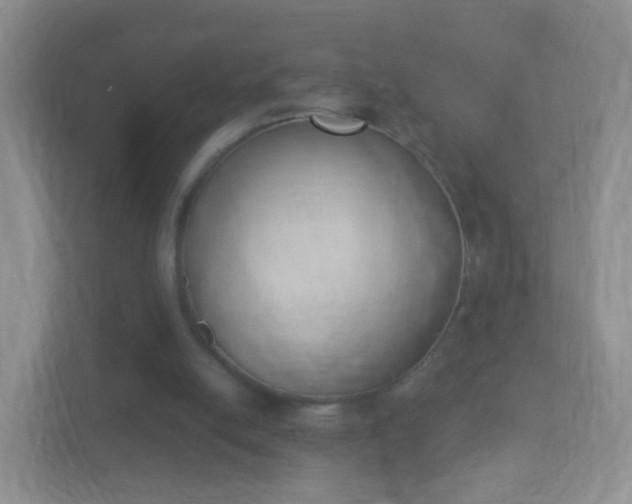 X0000113170054200909111042