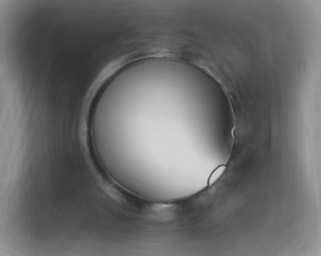 X0000113170055200909111042