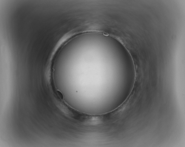 X0000113170056200909111042