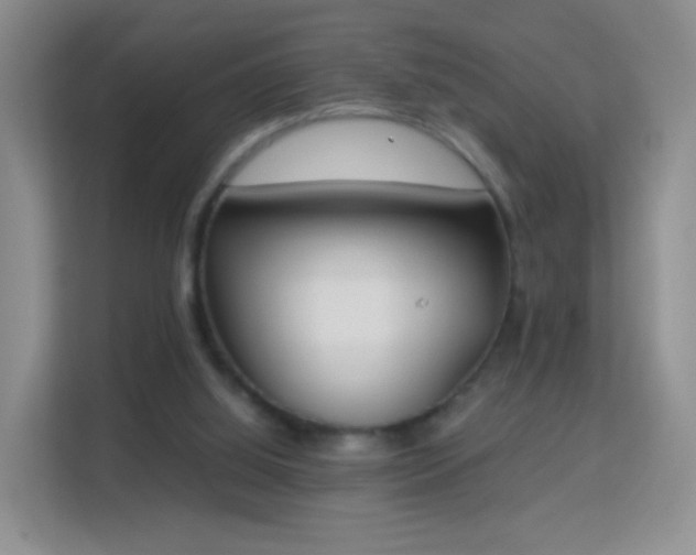 X0000113170060200909111043