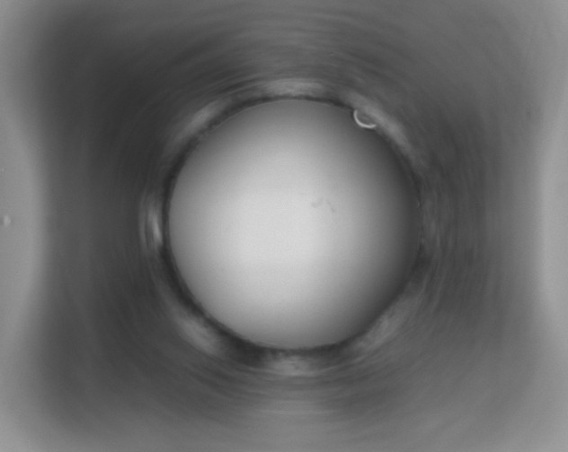 X0000113170062200909111043
