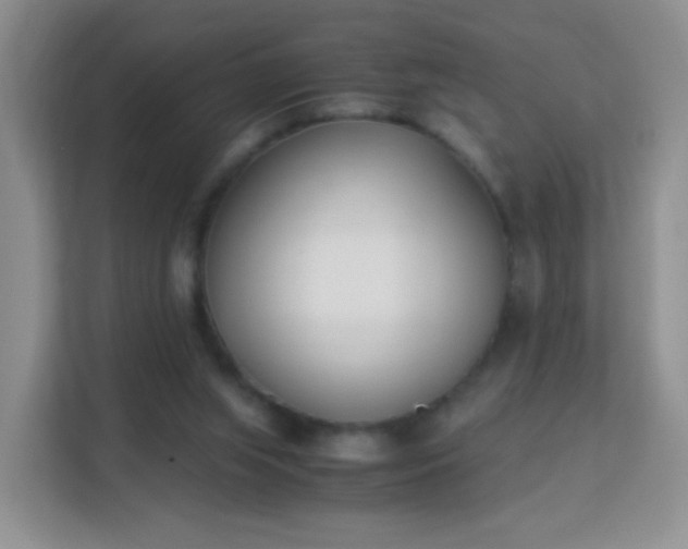 X0000113170063200909111043