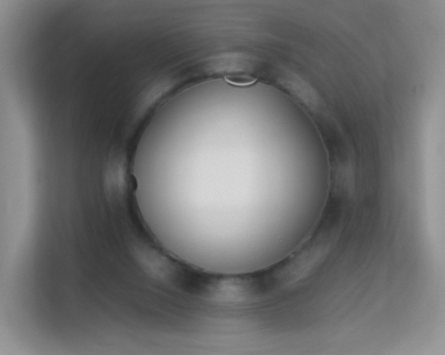 X0000113170064200909111043