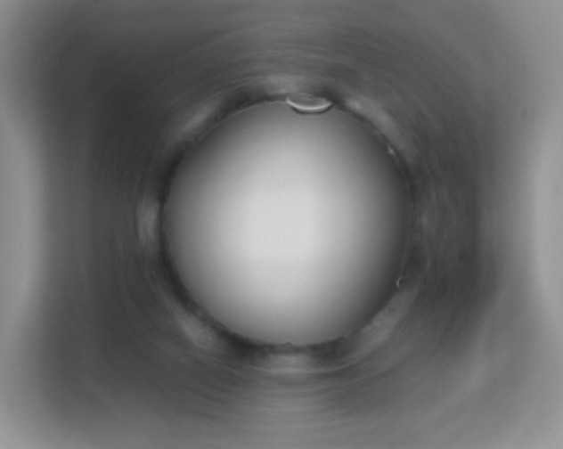 X0000113170066200909111043