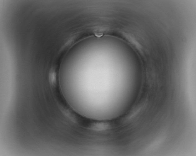 X0000113170067200909111043