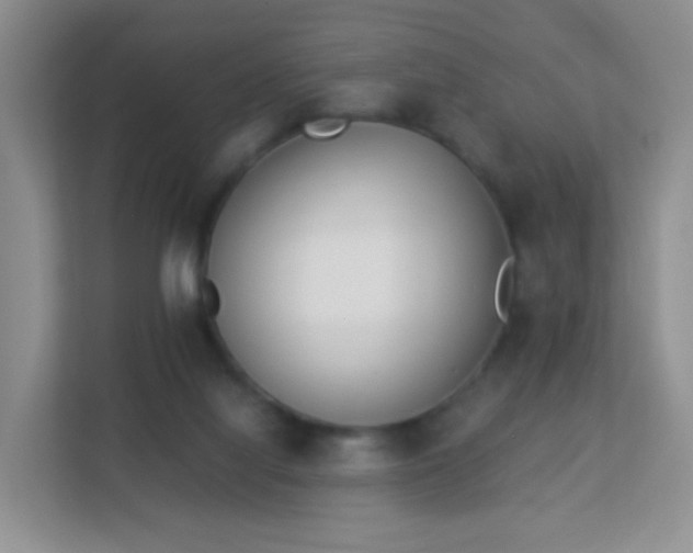 X0000113170068200909111043