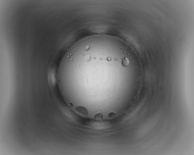 X0000113170069200909111043