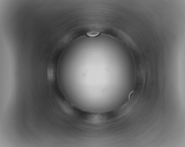 X0000113170074200909111043