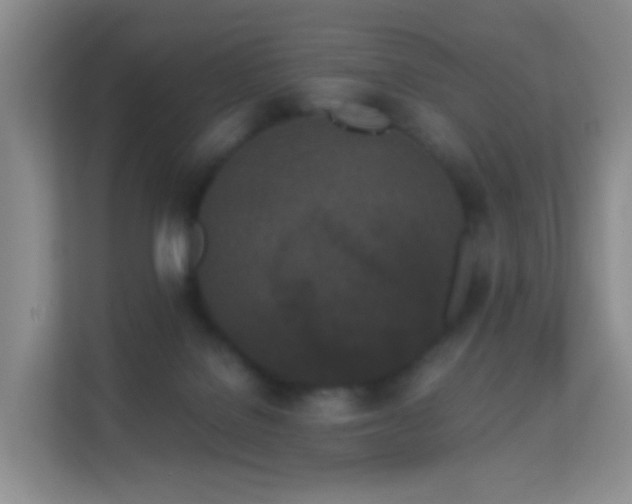 X0000113170076200909111043