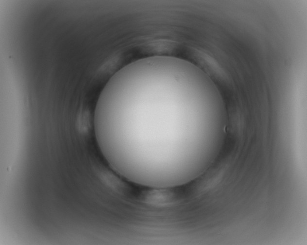 X0000113170077200909111043