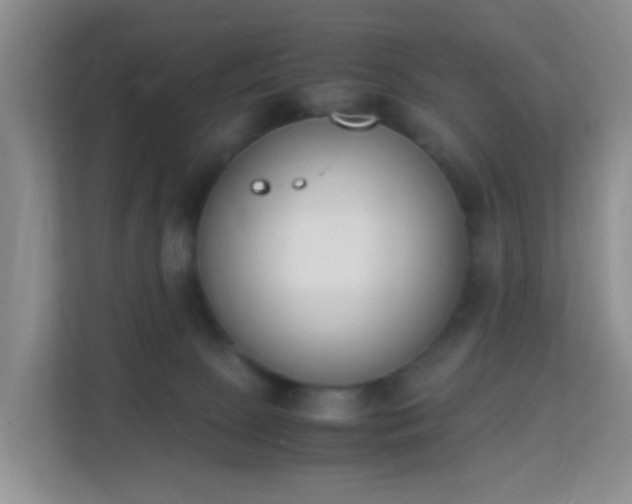 X0000113170081200909111043