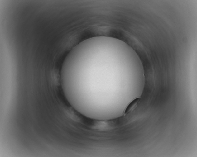 X0000113170083200909111043