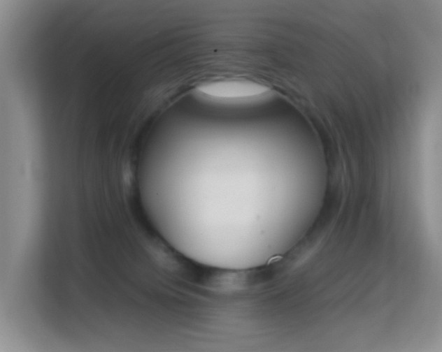 X0000113170084200909111043