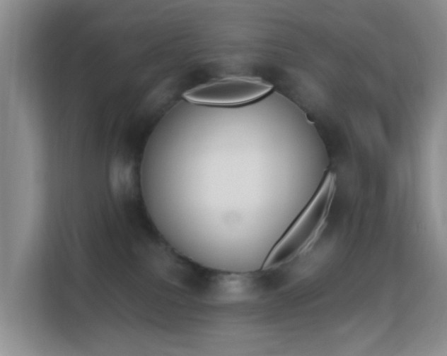 X0000113170088200909111043