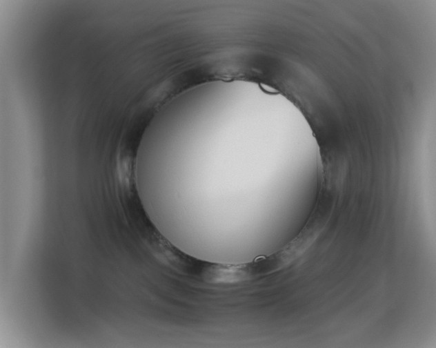 X0000113170093200909111043