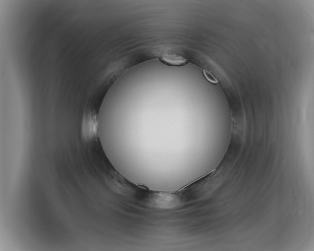 X0000113170095200909111043
