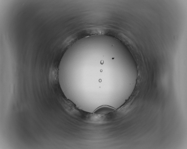 X0000113170096200909111043