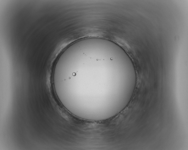 X0000113170098200909111042