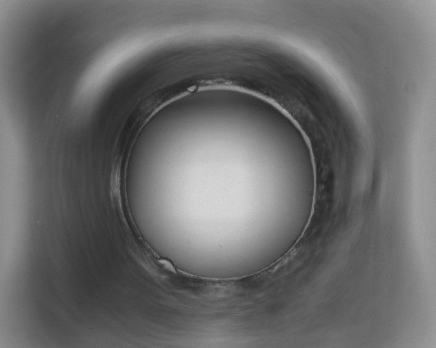 X0000113170099200909111042
