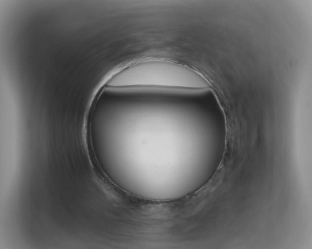 X0000113170100200909111042