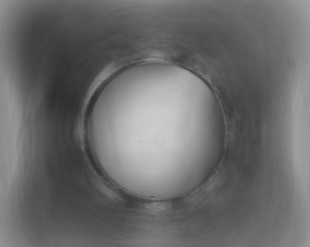 X0000113170102200909111042