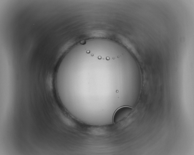 X0000113170106200909111042