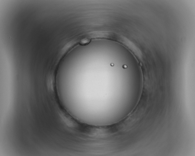 X0000113170107200909111042