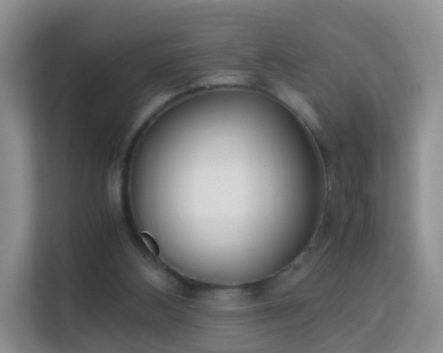 X0000113170108200909111042