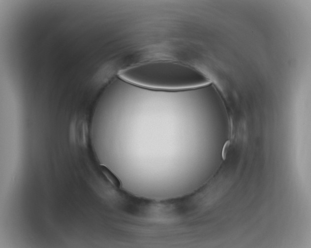 X0000113170109200909111042