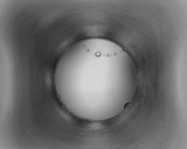 X0000113170114200909111042