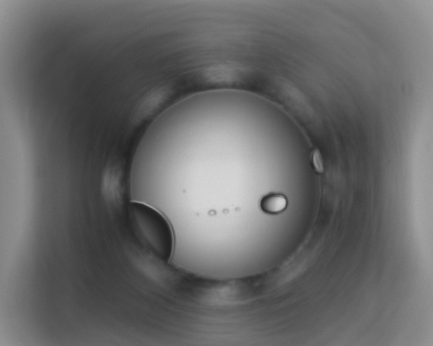 X0000113170116200909111042