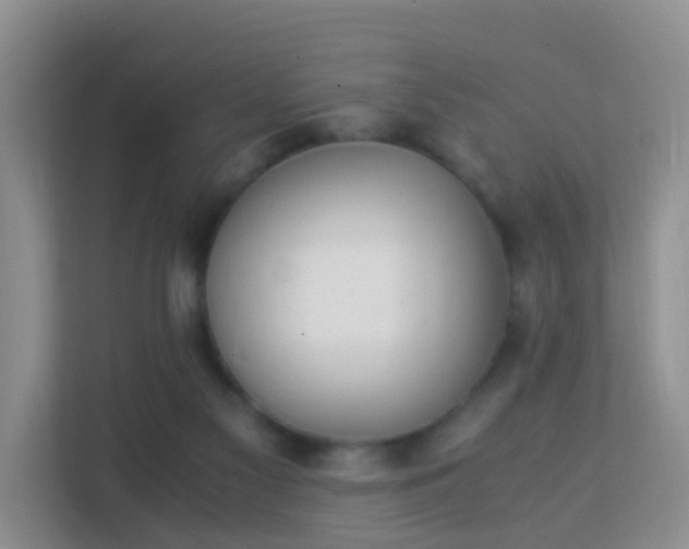 X0000113170117200909111042