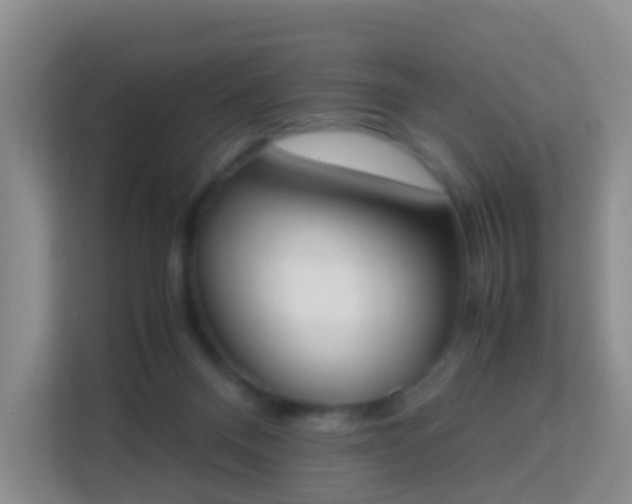X0000113170120200909111042
