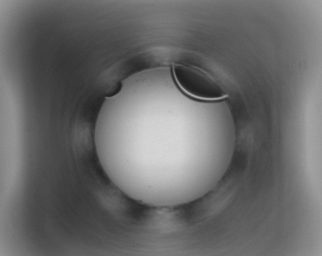 X0000113170121200909111042