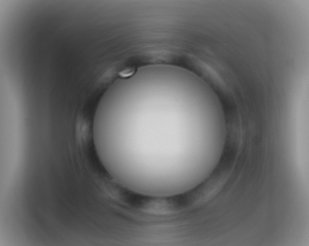 X0000113170123200909111042