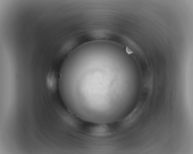 X0000113170124200909111042